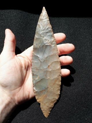 Authentic Huge 8 1/4 " Turkeytail Arrowhead Found In Posey Co.  Indiana