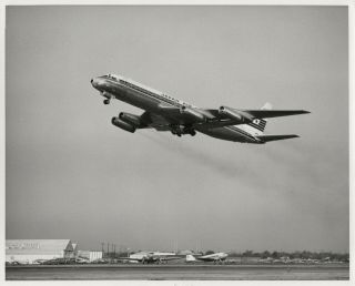 Large Vintage Photo - Jal Japan Air Lines Dc - 8