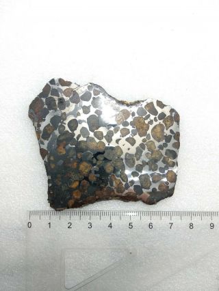 43.  44 grams.  Full slice.  Sericho meteorite pallasite from Kenya.  Polished. 4