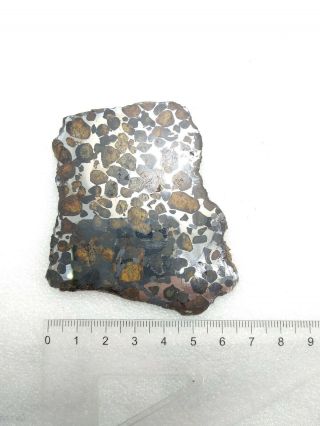 43.  44 grams.  Full slice.  Sericho meteorite pallasite from Kenya.  Polished. 5