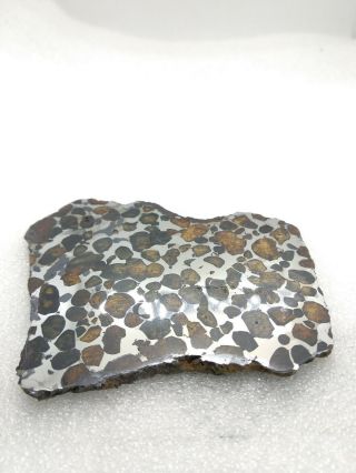 43.  44 grams.  Full slice.  Sericho meteorite pallasite from Kenya.  Polished. 7