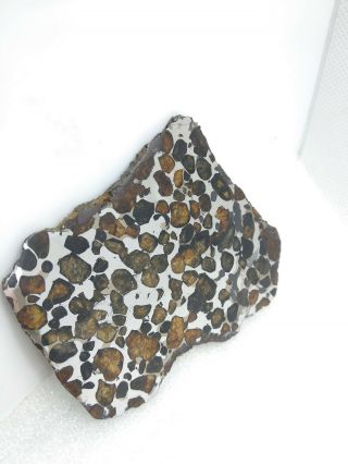 43.  44 grams.  Full slice.  Sericho meteorite pallasite from Kenya.  Polished. 8