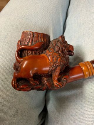 19th C.  Hand Carved Lion Meerschaum Pipe With Case