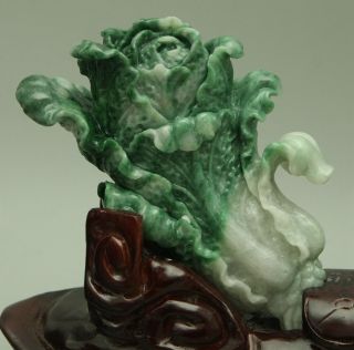 Cert ' d Untreated Green jadeite Jade Statue Sculpture couple cabbage 白菜 q71441Q5H 4