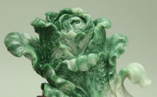 Cert ' d Untreated Green jadeite Jade Statue Sculpture couple cabbage 白菜 q71441Q5H 5