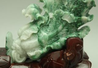 Cert ' d Untreated Green jadeite Jade Statue Sculpture couple cabbage 白菜 q71441Q5H 8