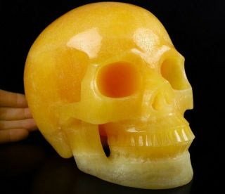 Lifesized 7.  3 " Beeswax Jade Carved Crystal Skull,  Realistic,  Crystal Healing