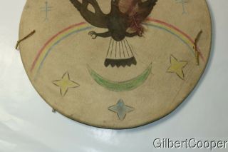 SIOUX PAINTED GHOST DANCE SHIELD 4