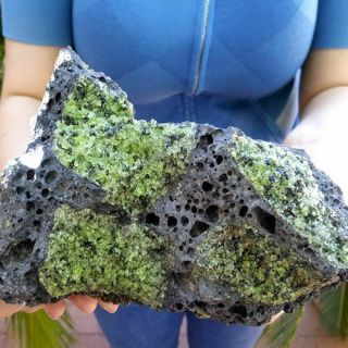 Large 9 Inch Gem Peridot Crystals With Chromium Diopside In Basalt