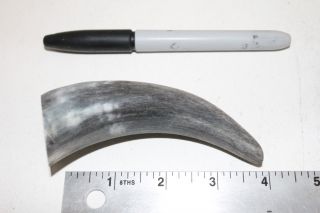 2 Cow horn tips.  v2d87.  Raw,  unfinished cow horns. , . 4