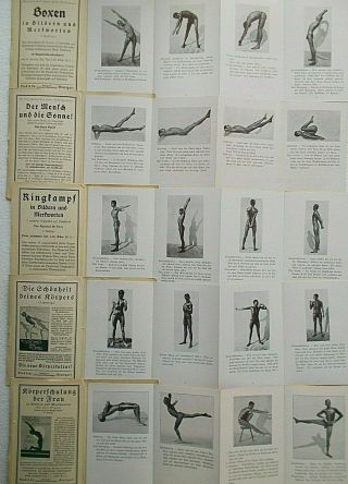 Vintage Ludwig Hohlwein German artist; Hans Suren; Gymnastics exercise - charts 3