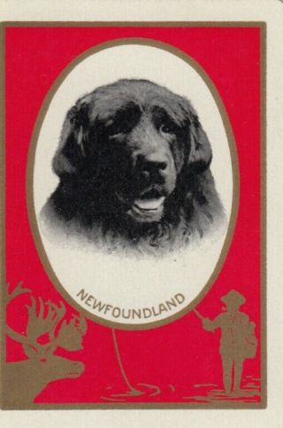 Vintage Swap Playing Card - 1 Single Old Wide - Newfoundland Red