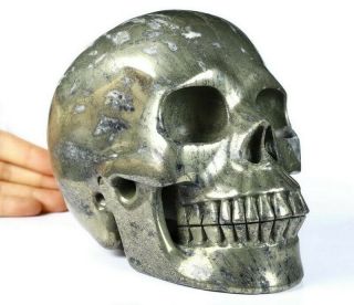 Lifesized 7.  0 " Pyrite Carved Crystal Skull,  Realistic,  Crystal Healing 623