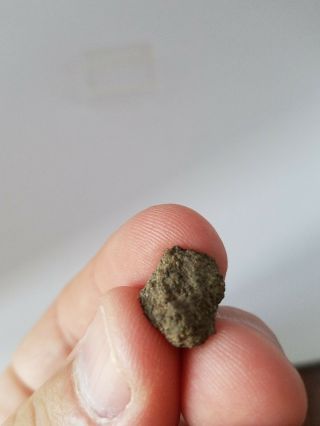 NWA 6963 Martian meteorite 1.  33 grams fusion crusted with flow lines 3