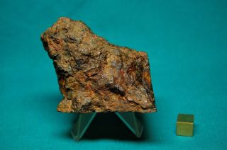 Sericho meteorite Pallasite 175.  8 grams 2