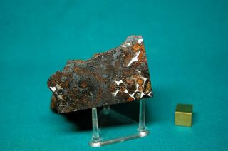 Sericho meteorite Pallasite 175.  8 grams 3