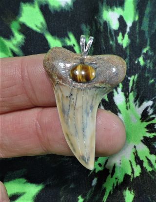Beauty 1 9/16  Mako Sharks Tooth Pendant Tiger Eye Jewelry
