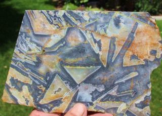 Wyloo Crystal Agate,  Rock,  Mineral,  Cab,  Slab,  Lapidary,  375 Grams