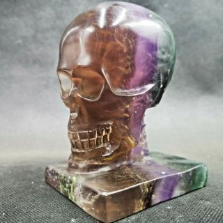 1312G Natural Fluorite Quartz Crystal Skull Hand - carved Energy Stone Healing 4