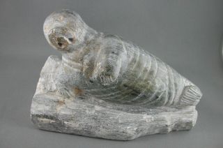 Old School Inuit Eskimo Art Walrus Carving W No Tusks Koonelusie