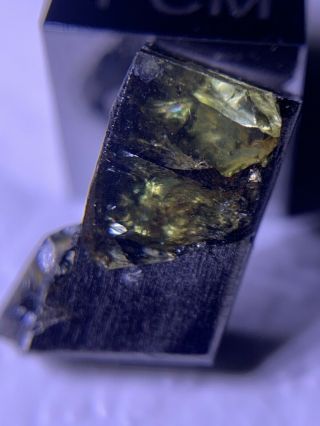Meteorite Esquel,  Pallasite Pmg 1.  61 Grams Rare
