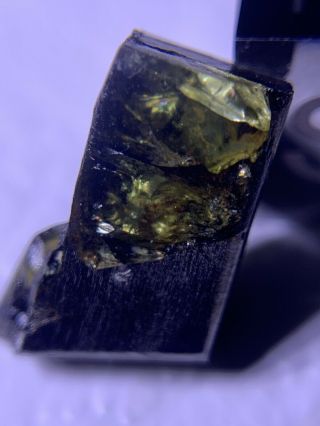 Meteorite Esquel,  Pallasite PMG 1.  61 Grams Rare 2