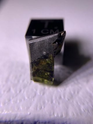 Meteorite Esquel,  Pallasite PMG 1.  61 Grams Rare 4