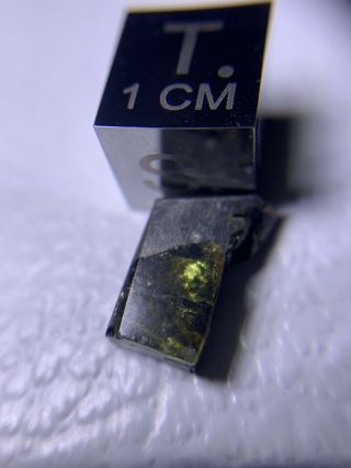 Meteorite Esquel,  Pallasite PMG 1.  61 Grams Rare 5