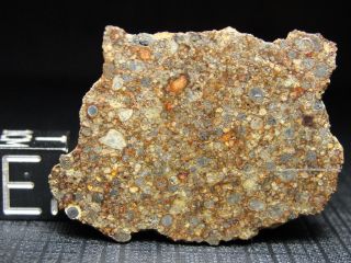 Nwa 10904 Type 3 Chondrite Meteorite - L3.  5 - S3 - W2 - G679 - 0006 - 24.  89g W/coa - End