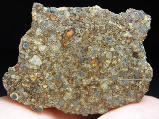 NWA 10904 Type 3 Chondrite Meteorite - L3.  5 - S3 - W2 - G679 - 0006 - 24.  89g w/COA - END 2