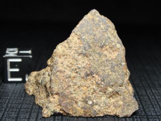 NWA 10904 Type 3 Chondrite Meteorite - L3.  5 - S3 - W2 - G679 - 0006 - 24.  89g w/COA - END 3
