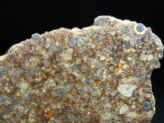 NWA 10904 Type 3 Chondrite Meteorite - L3.  5 - S3 - W2 - G679 - 0006 - 24.  89g w/COA - END 4
