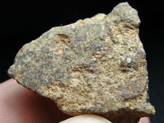 NWA 10904 Type 3 Chondrite Meteorite - L3.  5 - S3 - W2 - G679 - 0006 - 24.  89g w/COA - END 5