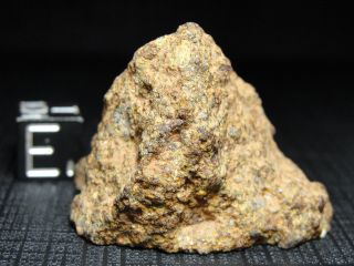 NWA 10904 Type 3 Chondrite Meteorite - L3.  5 - S3 - W2 - G679 - 0006 - 24.  89g w/COA - END 6