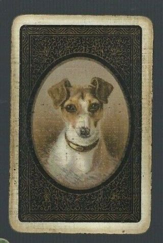 Playing Swap Cards 1 Vint U.  K Jack Russell Dog In Oval Grubby But I Am So Rare