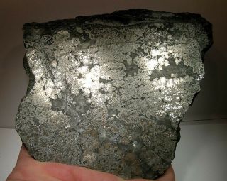 Jumbo Rich Silver Ore Slab: Langis Mine,  Cobalt,  Ontario,  Canada - Nr