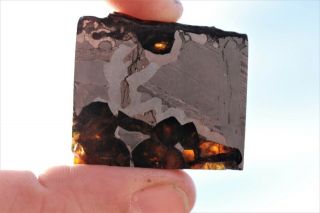Seymchan Meteorite Pallasite Part Slice 18.  5 Grams
