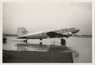 Large Vintage Photo - Bea British European Airways Douglas Dc - 3 G - Ajhz