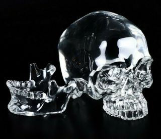 Lifesized 7.  3 K9 Crystal Carved Crystal Detachable Skull,  Realistic