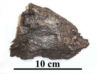 Meteorite,  Ataxite Dronino,  Russia,  Complete Sandblasted Piece,  643 Grams