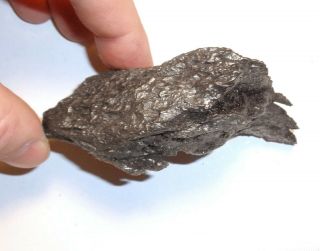 Meteorite,  Ataxite Dronino,  Russia,  complete sandblasted piece,  643 grams 3