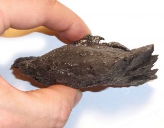 Meteorite,  Ataxite Dronino,  Russia,  complete sandblasted piece,  643 grams 4
