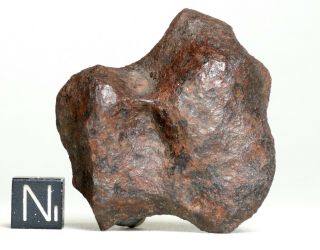 Meteorite MUNDRABILLA - Big 70.  0g perfect etched Endcut Iron Australia 3