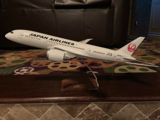 Pacmin 1/100 Japan Airlines Jal Boeing 787 - 8 Ja822j Dreamliner