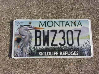 Montana Wildlife Crane License Plate Bwz 307