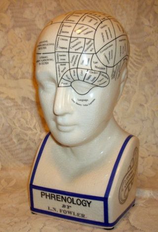 Large Porcelain Phrenology Head Bust 12 " High L.  N.  Fowler Psychology