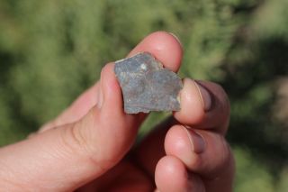 Nwa 11182 Meteorite Slice Lunar Meteorite 1.  5 Gram Full Slice Moon Rock