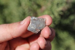 NWA 11182 Meteorite slice Lunar Meteorite 1.  5 gram full slice MOON ROCK 2