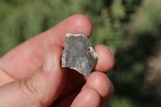 NWA 11182 Meteorite slice Lunar Meteorite 1.  5 gram full slice MOON ROCK 3