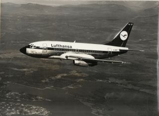Large Vintage Photo - Lufthansa Boeing 737 D - Abef In - Flight
